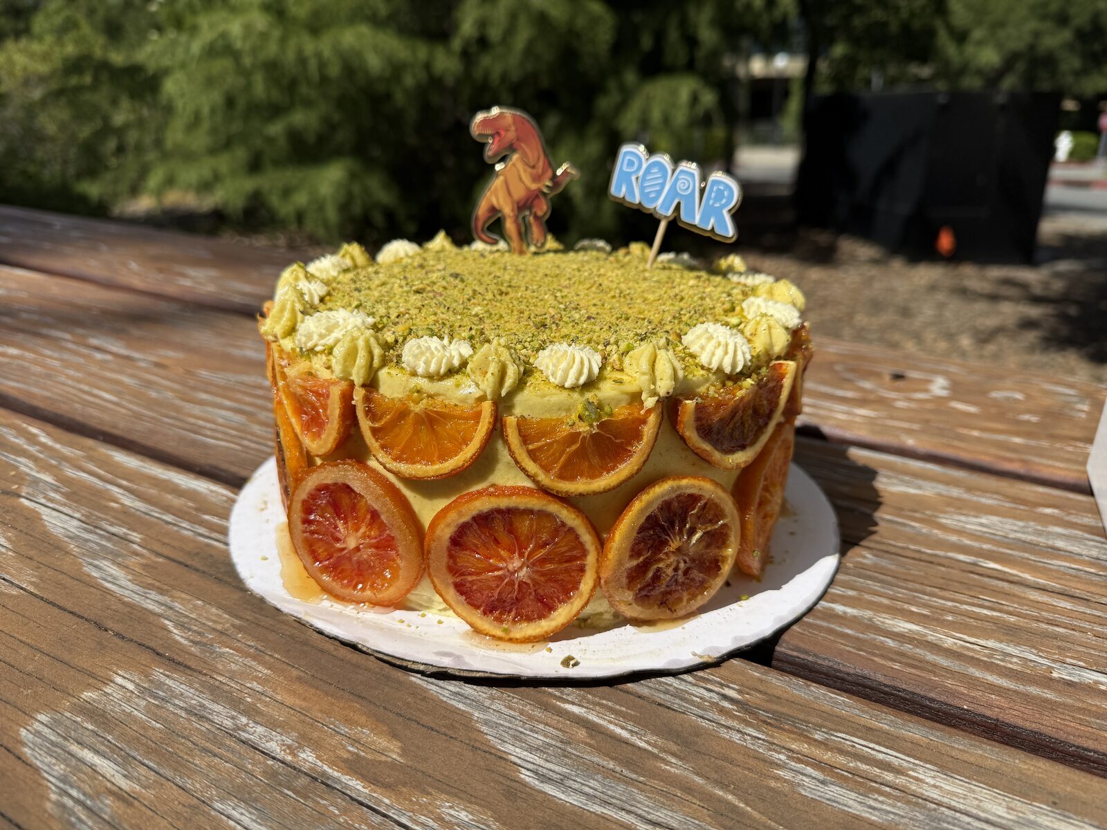 a decorated cake with citrus slices and a small dinosaur