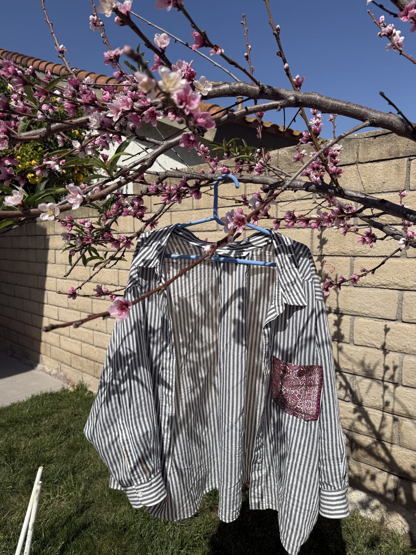 lengths of fabric hanging from the branches of a nectarine tree in a backyard